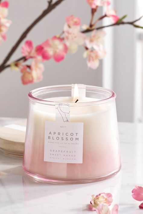 Lilin Aroma, Homemade Scented Candles, Soya Mumu, Apricot Blossom, Candles Photography, Deco Rose, Aesthetic Candles, Cute Candles, Candle Aesthetic