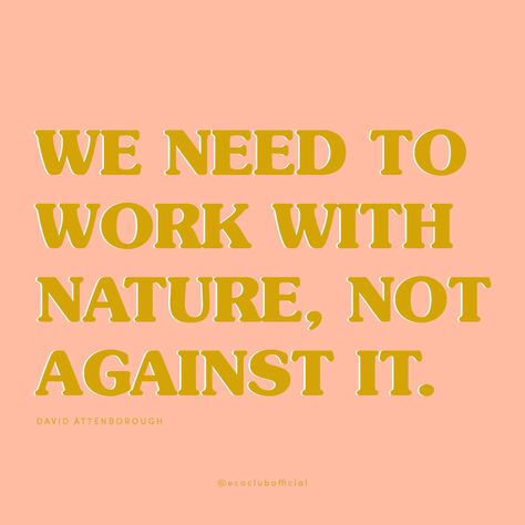 Ecofriendly Quotes, David Attenborough Quotes, Ecology Quotes, Activist Quote, Quotes Environment, Environmental Club, Hr Ideas, Activism Quotes, Sustainable Fashion Quotes