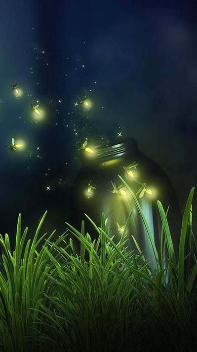 Fireflies Live Wallpaper For Android - Free Download 6A2 Lightening Bugs, Lighting Bugs, Fire Flies, Lightning Bugs, Sleep Tight, Dragonflies, Firefly, 그림 그리기, Beautiful World