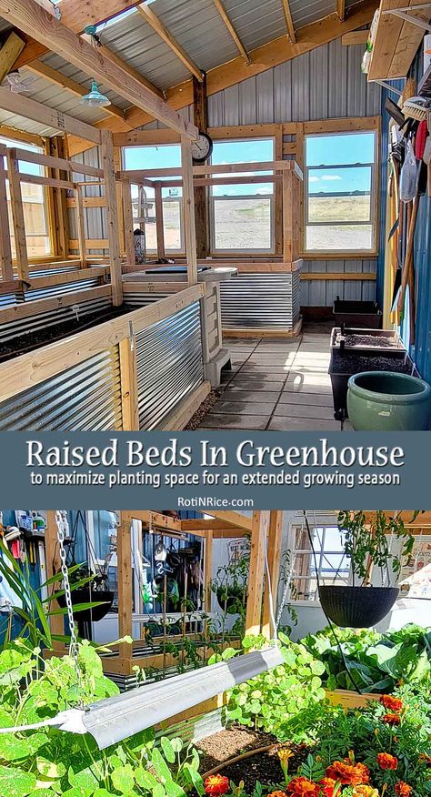 Raised Bed In Greenhouse, Greenhouse Veggie Garden, How To Set Up A Greenhouse, Greenhouse Set Up Inside, Raised Bed Greenhouse, Terraced Vegetable Garden, Greenhouse Planting, Happy Chickens, Indoor Planting