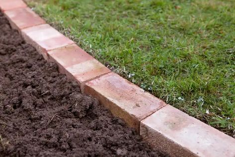 Lawn Edging Bricks, Brick Landscape Edging, Landscape Edging Stone, Garden Lawn Edging, Garden Edge, Grass Edging, Landscape Ideas Front Yard Curb Appeal, Brick Garden Edging, Brick Edging