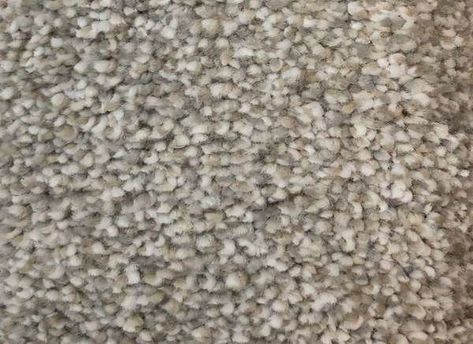 Best Carpet Colors: Abbey by Home Decorators Collection Grey Beige Carpet, What Color Carpet Goes With Gray Walls, Carpet Colors With Gray Walls, Wall To Wall Carpet Ideas, Carpeting Ideas, Upstairs Carpet, Best Carpet For Stairs, Bedroom Carpet Colors, Best Floor Cleaner