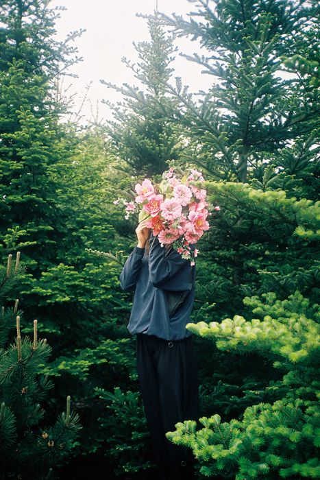 flowers in the forest Hipster Cafe, Plants Are Friends, No Rain, Alphonse Mucha, 인물 사진, Flower Child, Photography Inspo, Plant Life, Plants Flowers