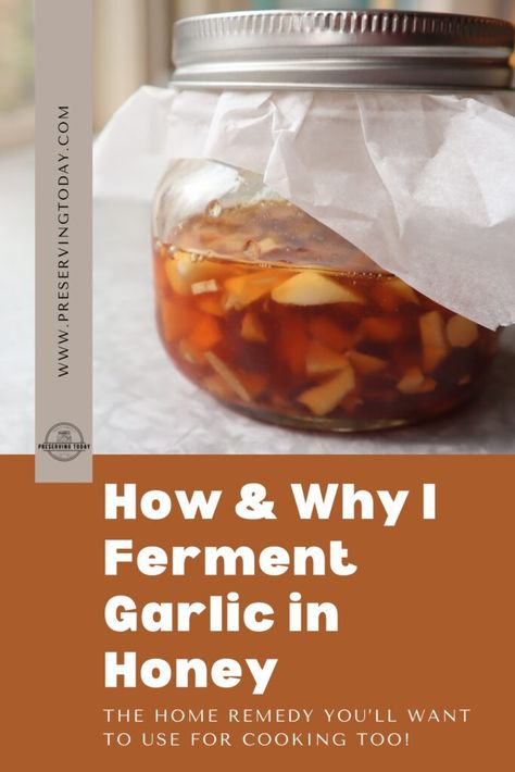 Garlic Honey Mason Jar, How To Make Fermented Garlic Honey, Garlic Fermented In Honey, Garlic Antibiotic Recipe, Fermented Honey Garlic Ginger, Honey Garlic Elixir, Honey Garlic Syrup, Honey Garlic Cold Remedy, Honey Garlic Medicine