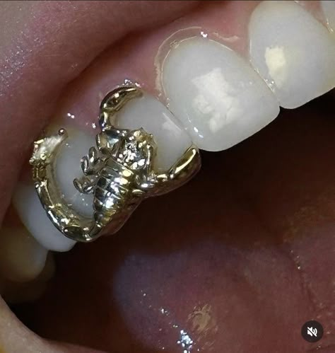 Grillz Teeth, Dope Jewelry Accessories, Grills Teeth, Tooth Gem, Gold Teeth, Teeth Jewelry, Jewelry Accessories Ideas, Dope Jewelry, Funky Jewelry