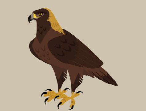 Golden Eagle Golden Eagle Illustration, Eagle Graphic Design, Eagle Character Design, Golden Eagle Drawing, Bird Poses, Eagle Cartoon, Graphic Animals, Eagle Illustration, Eagle Drawing