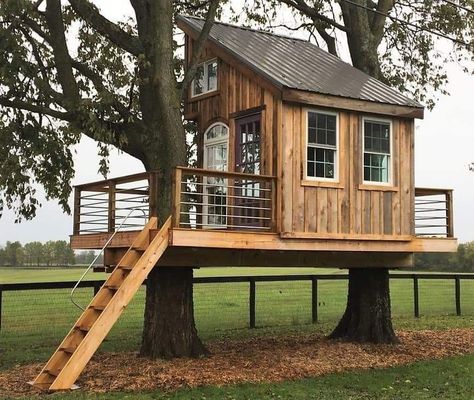 Backyard Treehouse, Tree House Drawing, Simple Tree House, Beautiful Tree Houses, Tree House Plans, Tree House Diy, Tree House Kids, Cool Tree Houses, Simple Tree