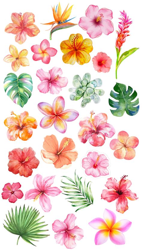 Tropical Flowers Illustration, Hibiscus Drawing, Summer Prints Wallpaper, Cute Summer Wallpapers, Wallpaper Iphone Summer, Iphone Wallpaper Photos, Summer Wallpaper, Flower Illustration, Diy Canvas Art