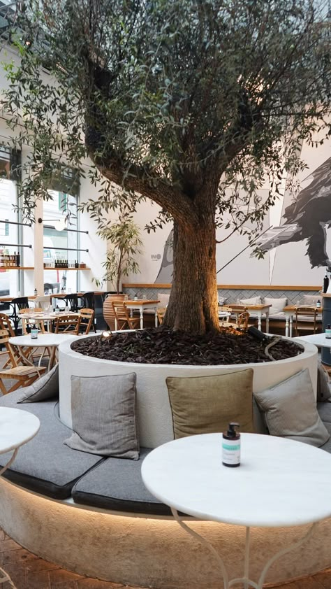 INTERIORS — ELLEN LAI PHOTOGRAPHY Outdoor Cafeteria, Italian Restaurant Decor, Cafe Exterior, Riad Marrakech, Outdoor Restaurant Design, Indoor Tree, Retail Space Design, Cafe Seating, Cafe Garden