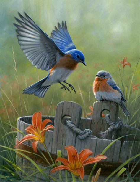 Eastern Bluebird, New York State Bird | Hi-Look Online Pictures Of Birds, Cabin Art, Banana Plants, Bird Photos, 수채화 그림, Bird Pictures, Exotic Birds, Bird Drawings, Pretty Birds