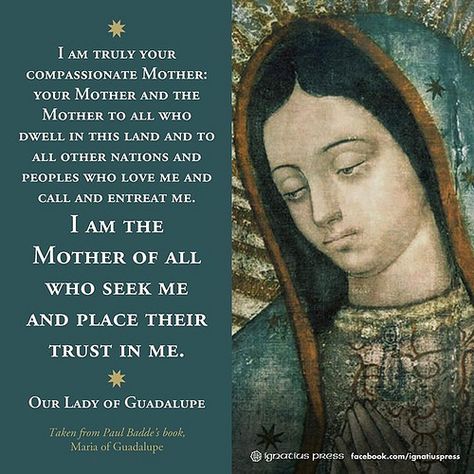 Our Lady of Guadalupe | "The fruit of silence is prayer. The… | Flickr Happy Feast, Blessed Mary, Saint Quotes Catholic, Virgin Of Guadalupe, Mama Mary, Queen Of Heaven, Mother Of God, Blessed Mother Mary, Saint Quotes