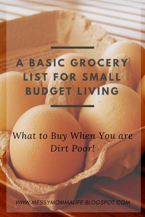 How To Meal Plan On A Budget, Buying Groceries On A Budget, Grocery Essentials Shopping Lists, Grocery List On A Budget 2023, How To Buy Groceries For A Month, Broke Grocery List, Grocery List Basics, Grocery Essentials On A Budget, Single Mom Grocery List