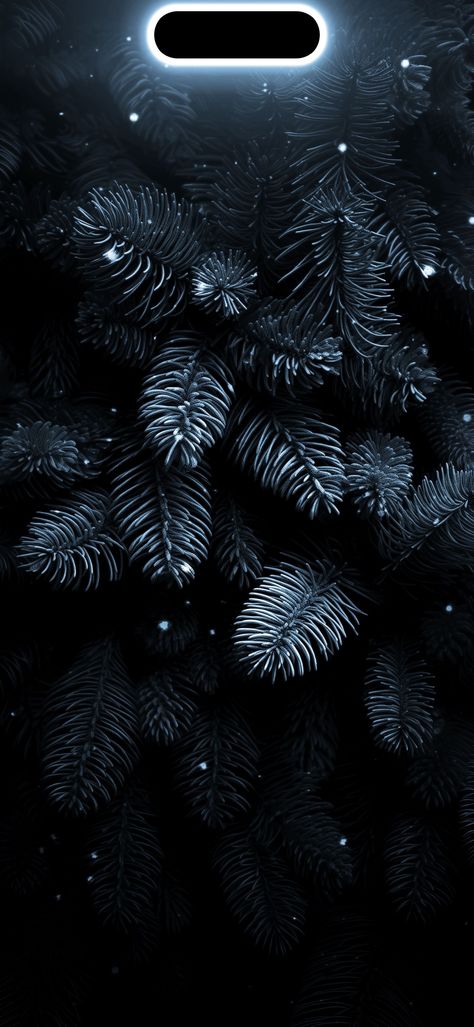 Black 8k Wallpaper, Iphone 8k Wallpaper, 4d Wallpaper Iphone, 8k Wallpaper Iphone Black, Phone Wallpaper Dark, 8k Wallpaper Iphone, Iphone Wallpaper Ocean, Iphone Wallpaper Photography, Ram Wallpaper