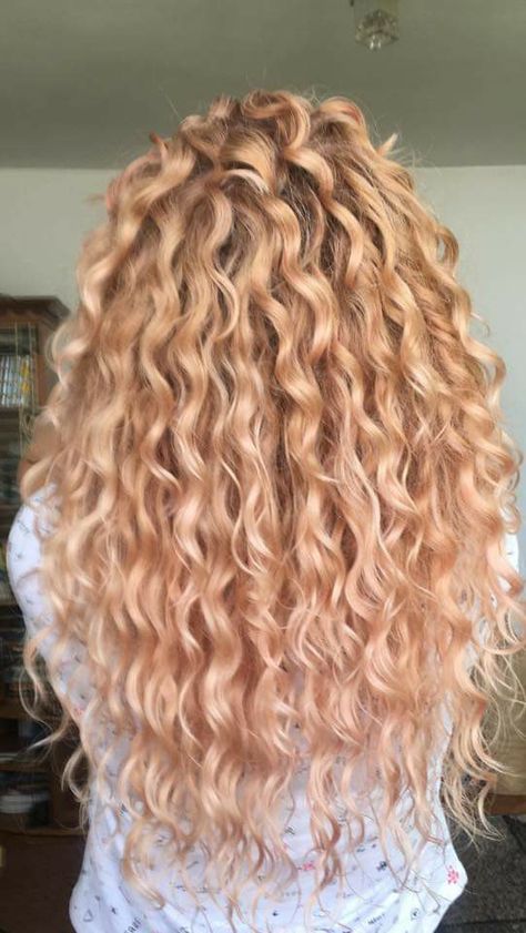 Strawberry Blonde Hair Color Curly, Light Strawberry Blonde Curly Hair, Strawberry Blonde Curly Hair Highlights, Copper Blonde Curly Hair, Blonde Curls Natural, Strawberry Blonde Curls, Curly Strawberry Blonde Hair, Light Perm, Strawberry Blonde Curly Hair