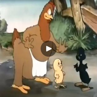 Best Cartoons, Best Cartoons Ever, Funny Facebook, Cartoon Funny, Facebook Humor, Chicken Coops, Classic Cartoons, Bugs Bunny, Cool Cartoons