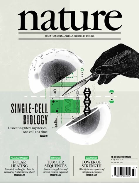 Nature Magazine Cover, Magazine Cover Illustration, Scientific Magazine, Scientific Poster Design, Nature Magazine, Biology Poster, Magazine Cover Ideas, Scientific Poster, Research Poster