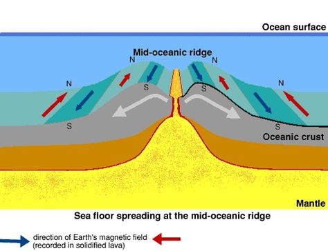 25+ best ideas about Seafloor spreading on Pinterest | Plate ... Asian Hot Pot Recipe, Mid Ocean Ridge, Plate Tectonic, Seafloor Spreading, Layers Of The Earth, Hot Pot Recipe, Middle School Teaching, Teaching Humor, Continental Drift