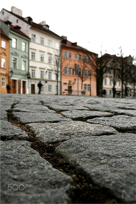 Worms Eye View Photography People, Worms Eye View Person, Worms Eye View Photography, Worm Eye View, Worm's Eye View Drawing, Worm's Eye View Photography, Worms Eye View Photography Building, Birds Eye View Photography, Perspective Pictures