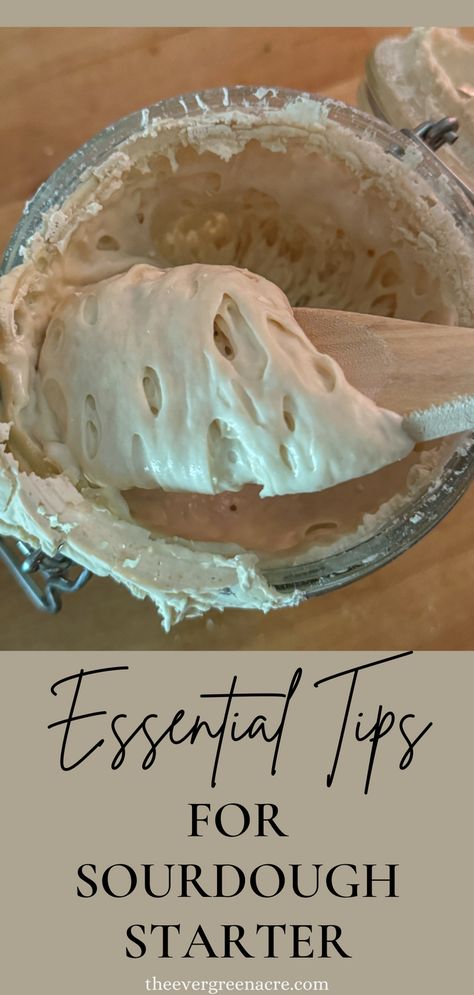 If you're a sourdough beginner, these top Sourdough starter tips are incredibly helpful for learning how to feed your sourdough starter, maintain it, and troubleshoot a sluggish starter! Sourdough Starter Tips And Tricks, How To Start Sourdough Bread, How To Strengthen A Sourdough Starter, Sourdough Starter How To Feed, Sourdough For Beginner, How Do You Feed Sourdough Starter, The Best Sourdough Starter, What To Do With A Sourdough Starter, How To Do Sourdough Starter