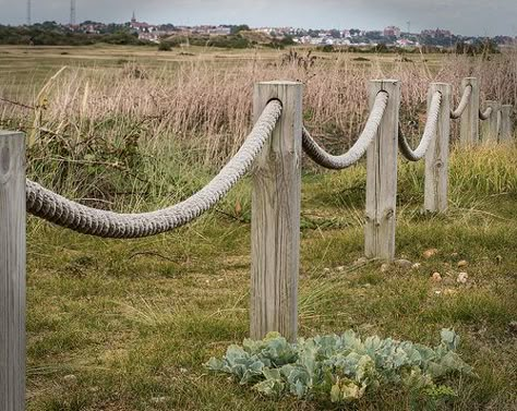 Rope fence | Flickr - Photo Sharing! Garden Rope Ideas, Beachy Landscaping Ideas, Classic Fence, Rope Fence, Rope Railing, Fence Backyard, Rustic Fence, Cheap Fence, Fence Garden