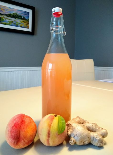 Peach Ginger Soda (Ginger Bug Recipe) Fermentation Station, Ginger Soda, Ginger Bug, Homemade Soda, Water Kefir, Fermentation Recipes, Soda Recipe, Herbal Drinks, Fermented Drink