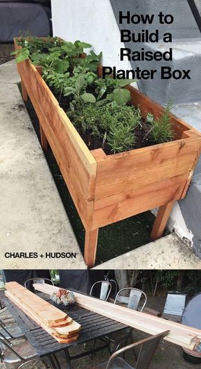 by: Charles + Hudson There are a few common material options to choose from when building a raised planter box, but for us, it was redwood all the way. Redwood is 100% natural and resistant to… More Building Planter Boxes, Raised Garden Beds Diy Vegetables, Funny Vine, Garden Boxes Diy, Raised Planter Boxes, Garden Planter Boxes, Diy Planter Box, Wooden Planter, Diy Raised Garden