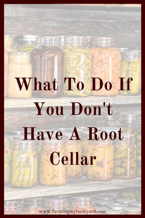 Diy Root Cellar Above Ground, Greenhouse With Root Cellar, Simple Root Cellar, Refrigerator Root Cellar, Homesteading Food Storage, Cold Storage Room Ideas Root Cellar, Above Ground Cellar, Small Root Cellar Ideas, Building A Root Cellar Into A Hill