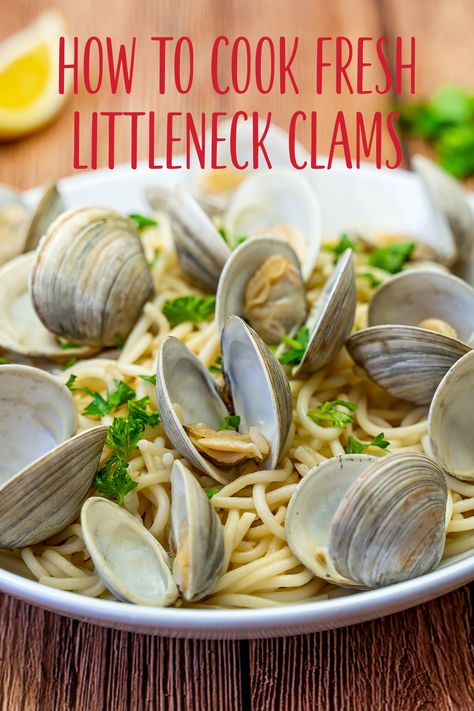 Plump, juicy, and sweet, our fresh littleneck clams are surprisingly easy to cook. How To Steam Clams On The Stove, How To Cook Clams In Shell, Clam Recipes Fresh, Little Neck Clam Recipes, How To Steam Clams, Littleneck Clam Recipes, Steam Clams, How To Cook Clams, Littleneck Clams