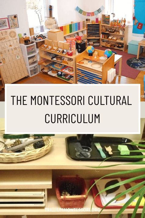 The Montessori cultural curriculum includes lessons on geography, botany, zoology, science, art, and music. Montessori Culture Activities, Montessori Cultural Shelves, Montessori 3-6 Classroom, Montessori Categories, Montesorri Classroom Ideas, Montessori Science Shelf, Montessori Science Activities, Montessori Preschool Curriculum, Montessori Culture