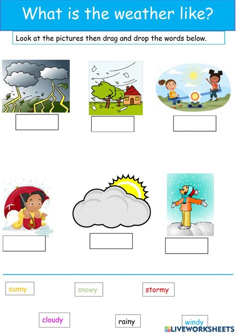 Types Of Weather Activities, Kinds Of Weather Worksheet, Types Of Weather Worksheet, Weather Worksheets Preschool, Weather Kindergarten, Weather For Kids, Kinds Of Weather, Types Of Weather, Weather Tools