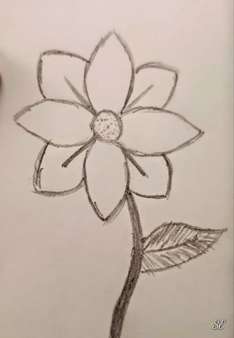 Cute Flowers Drawings Easy, Art Inspiration Drawing Easy Flowers, Easy Cute Flowers To Draw, Flower Easy Sketch, Flower Easy To Draw, Easy Sketches Of Flowers, Simple Flower Sketches For Beginners, Easy Flowers Draw, Nice Easy Drawings