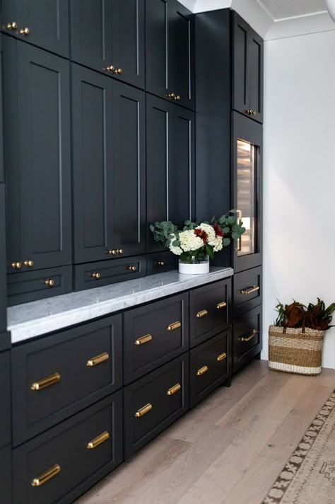 Pulls For Black Cabinets, Pantry Inspiration, Pantry Wall, Gold Knobs, Small Pantry, Black Kitchen Cabinets, Butlers Pantry, Butler Pantry, Pantry Ideas