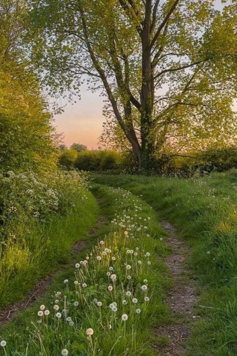 Golden Hour Countryside, Happy Nature Aesthetic, English Countryside Spring, May Asethic, Nature Golden Hour, Spring Garden Aesthetic, English Countryside Garden, Me As An Place, Aesthetic Places Nature