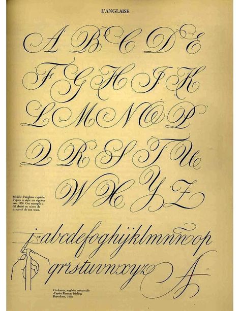 Cursive Handwriting Fonts, Cursive Fonts Alphabet, Tattoo Fonts Alphabet, Calligraphy Fonts Alphabet, Lettering Styles Alphabet, Tattoo Lettering Styles, Cursive Alphabet, Copperplate Calligraphy, Alfabet Letters