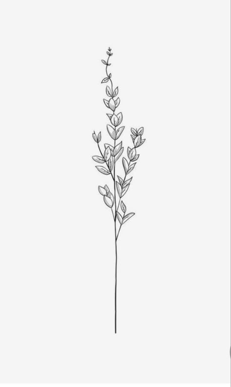 Long, black, simplistic, Lavender sprig tattoo sketch Simplistic Lavender Tattoo, Lavender Tattoo Drawing, Drawings Of Lavender, Lilac Sprigs Tattoo, Lavender Sprigs Drawing, Lavender Sprig Tattoo Black, Lavender Drawing Tattoo, Tall Flower Tattoo, Fun Feminine Tattoos