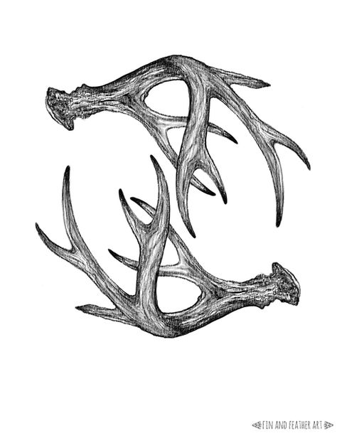 Antlers! Bow Hunting Tattoos, Deer Antler Tattoo, Antler Drawing, Antlers Drawing, Deer Hunting Tattoos, Antler Tattoos, Antler Tattoo, Deer Skull Tattoos, Deer Tattoo Designs