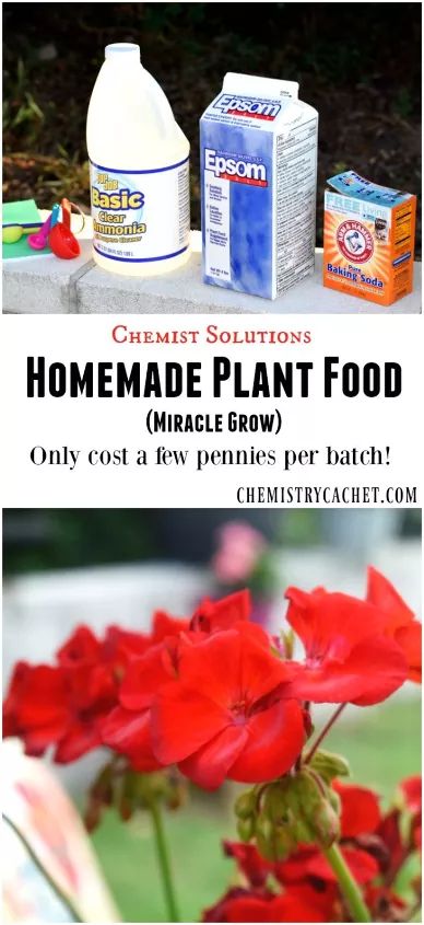 Easy Homemade Plant Food (Miracle Grow) | Hometalk Plant Food Diy, Homemade Plant Food, Organic Plant Food, The Chemist, Miracle Grow, Aquaponics System, Fertilizer For Plants, Big Plants, Hydroponic Gardening