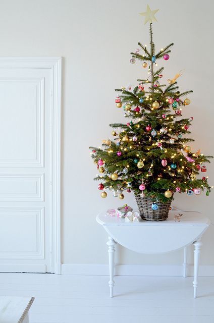 Tree Hunt, Small Space Christmas Tree, Small Christmas Trees Decorated, Navidad Natural, Tiny Christmas Trees, Happy Christmas Eve, Small Christmas Tree, Alternative Christmas Tree, Real Christmas Tree