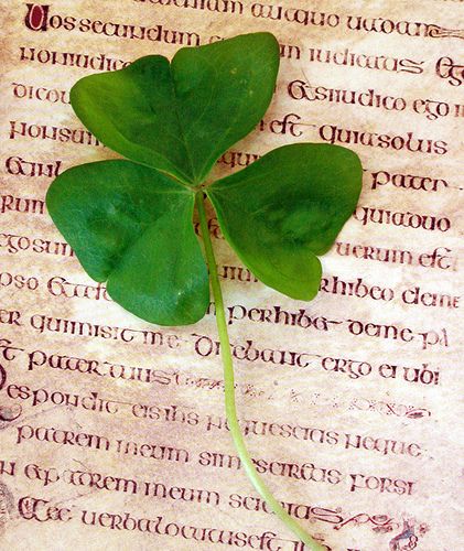 Irish Aesthetic, Sant Patrick, Irish Country, Irish Luck, Irish Blessings, Irish Love, Irish Eyes Are Smiling, Irish Cottage, Irish Roots