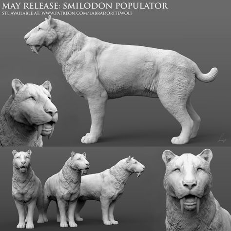 Saber Toothed Tiger, 3d Print Design, Wild Shape, Extinct Species, Prehistoric Wildlife, Tiger Pictures, Pathfinder Rpg, Extinct Animals, Animal Species