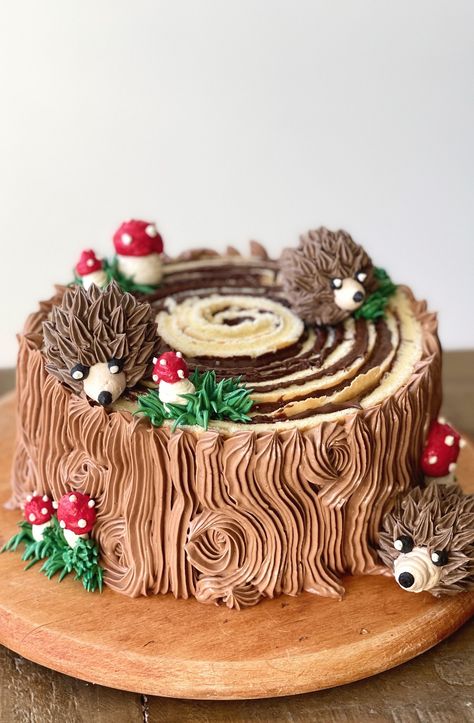 Woodland Cake Roll — Oh Cakes Winnie Cute Woodland Cake, Christmas Day Meals, Woodland Theme Cake, Woodland Birthday Cake, Swiss Roll Cakes, Hedgehog Cake, American Chocolate, Woodland Cake, Roll Cakes