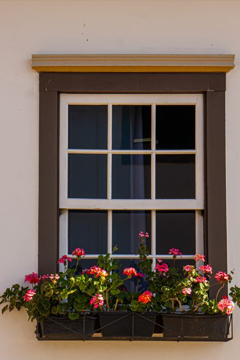 Window with Flowers on the Windowsill Flower Bed Window Sill, Flowers On Window Sill Outside, Under Window Garden Ideas, Windowsill Planter Outdoor, Window Sill Flower Boxes, Windowsill Garden Aesthetic, Plants Outside Window, Outside Window Decor, Window Sill Flowers