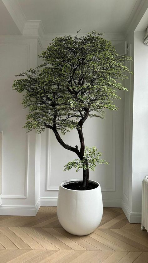 Tree Decor Indoor, Indoor Rubber Tree, House Trees Indoor, Plants Japandi, Artificial Trees Indoor Decor, Bedroom Plants Decor Ideas, Plants Bedroom Ideas, Artificial Plants Indoor Decor, Japandi Plants