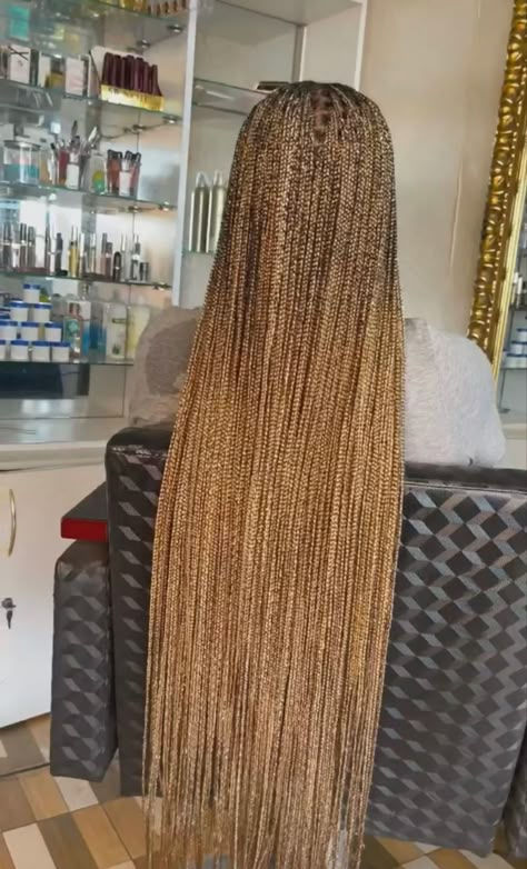 Golden Blonde Box Braids, Knotless Box Braids Medium Honey Blonde, Blended Braids For Black Women, 6 27 613 Braids, Color 27 Box Braids, Knotless Box Braids Blonde And Brown, Honey Blonde Braids On Dark Skin, Brown Blonde Box Braids, Midback Box Braids