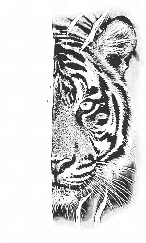 #OwlTattoo #CuteOwlTattoo #OwlInk #OwlTattooDesign #OwlTattooArt #InkedOwls #OwlTattooIdeas #OwlTattooLove #TattooInspiration #AnimalTattoos Tiger Tattoo Stencil Design, Tiger Face Tattoo Stencil, Tiger Face Stencil, Tiger Tattoo Drawing, Tiger Tattoo Stencil, Lion Tiger Tattoo, Tiger Stencil, Tiger Hand Tattoo, Tiger Face Tattoo