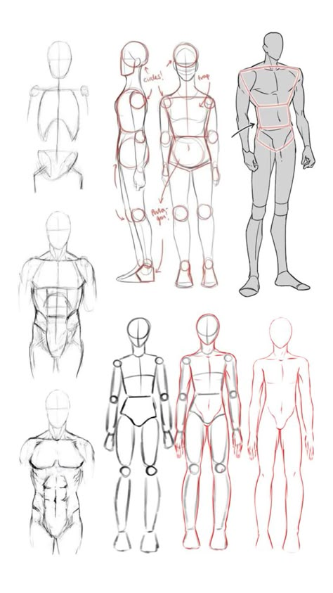 Drawing Male Anatomy, Drawing The Human Head, Male Body Drawing, Male Art Reference, Human Body Drawing, Body Tutorial, Comic Book Drawing, Body Shape Drawing, Anatomy Tutorial