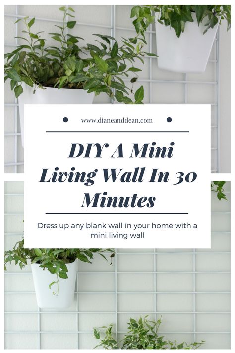 DIY living wall tutorial Wall Planter Diy, Diy Living Wall, Living Wall Diy, Plant Wall Diy, Indoor Plant Stands, Plant Stand Ideas, Living Wall Indoor, Living Wall Planter, Diy Wall Planter