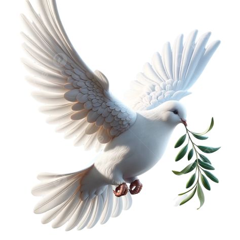 Dove Olive Branch, Dove With Olive Branch, Dove Tattoo Design, Dove Painting, Dove Images, Peace Bird, Spiritual Pictures, Dove Pictures, Wedding Background Images