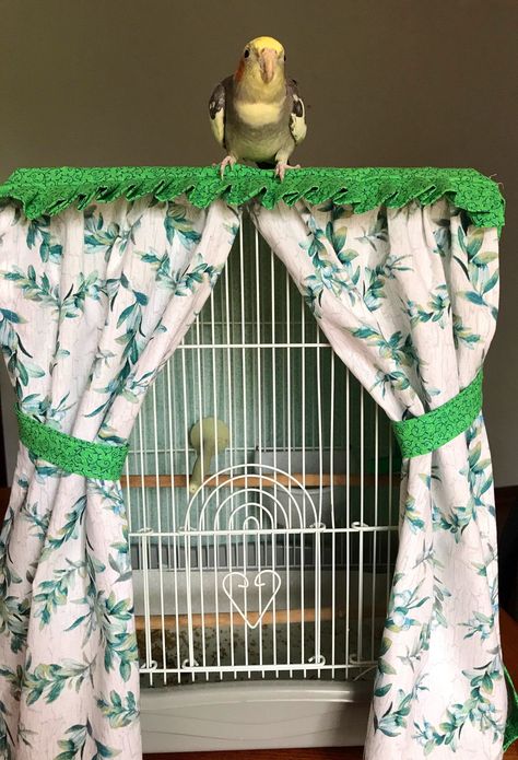 Gnome Animals, Homemade Bird Toys, Parakeet Care, Diy Bird Cage, Parakeet Toys, Cage Decor, Diy Bird Toys, Small Bird Cage, Parakeet Cage