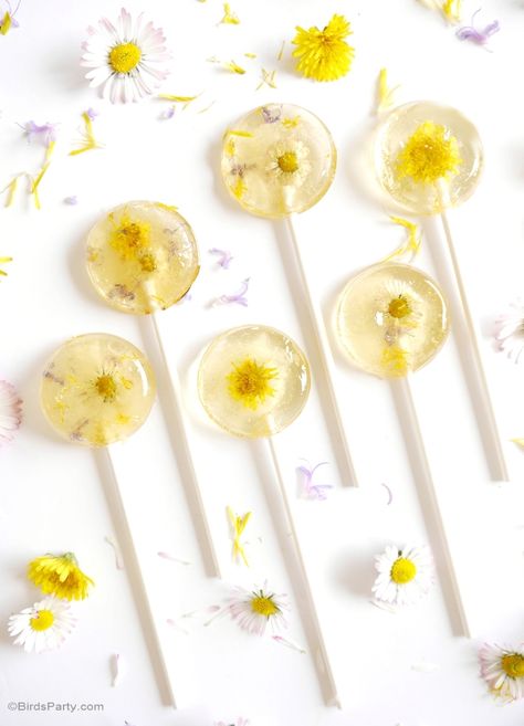 Lollipops Recipe, Lollipop Recipe, Daisy Party, Spring Tea, Dandelion Recipes, Honey Recipes, Homemade Candies, Köstliche Desserts, Flower Food